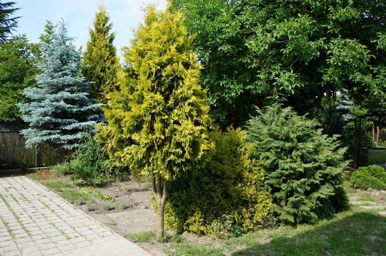 Apartamenty Z Klimatem Poznań Buitenkant foto
